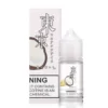 Tokyo Pina Colada Saltnic 30ml